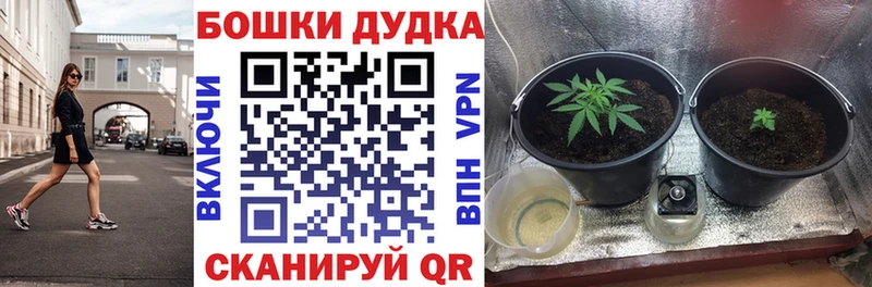Купить где  Шимановск  Конопля Amnesia 
